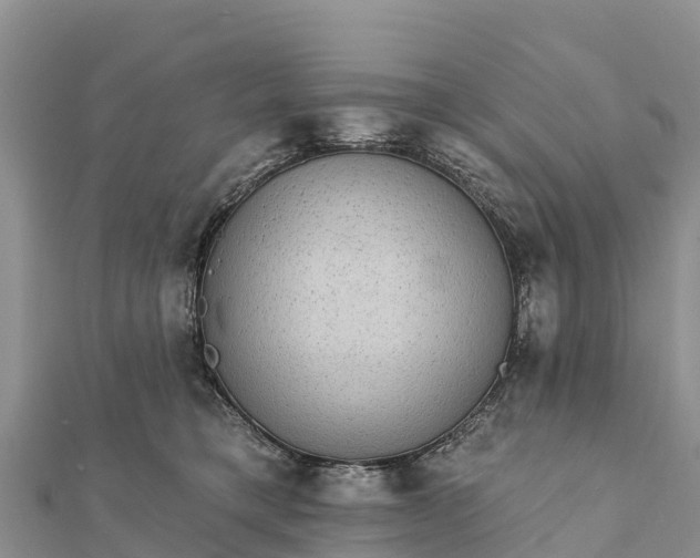 X0000112100421200908181330