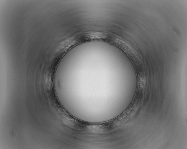 X0000112100422200908181330