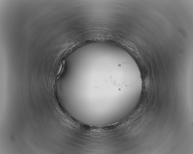 X0000112100423200908181330