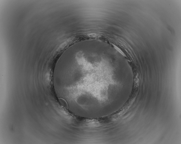 X0000112100424200908181330