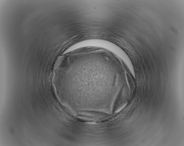 X0000112100425200908181330