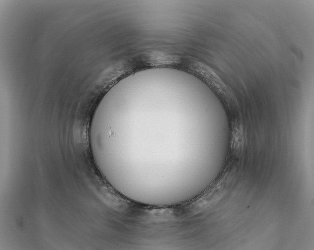 X0000112100426200908181330