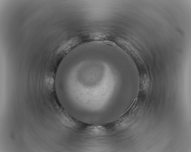 X0000112100427200908181330