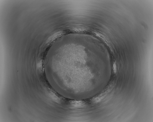 X0000112100428200908181329