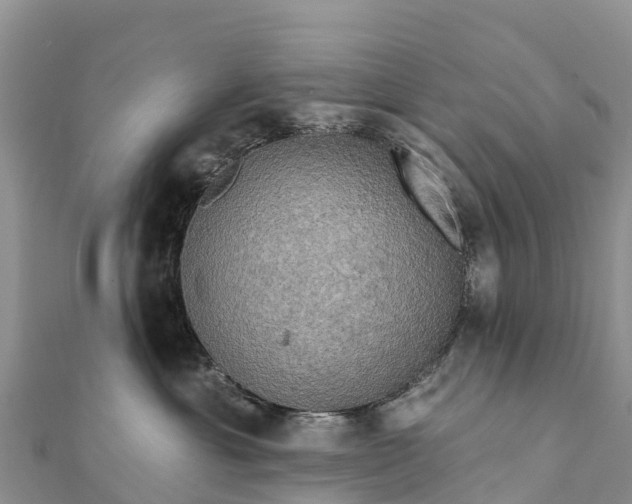 X0000112100429200908181329