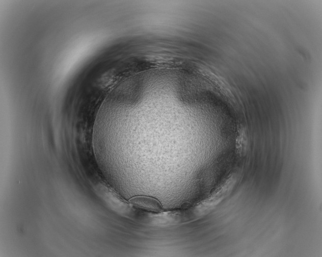 X0000112100430200908181329