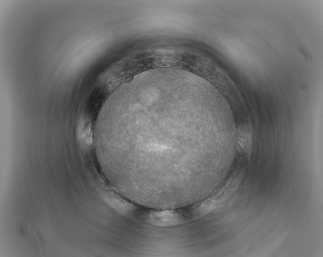 X0000112100431200908181329