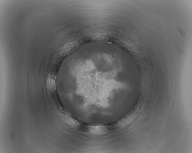 X0000112100432200908181329