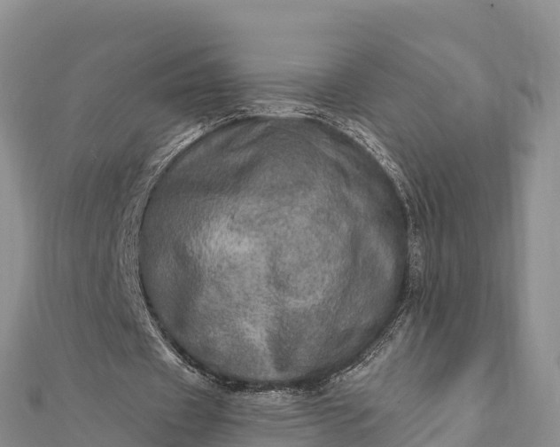 X0000112100433200908181329