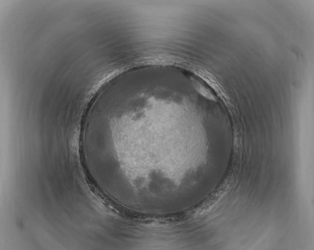 X0000112100434200908181329