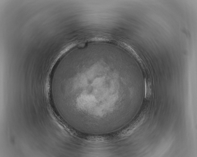 X0000112100435200908181329