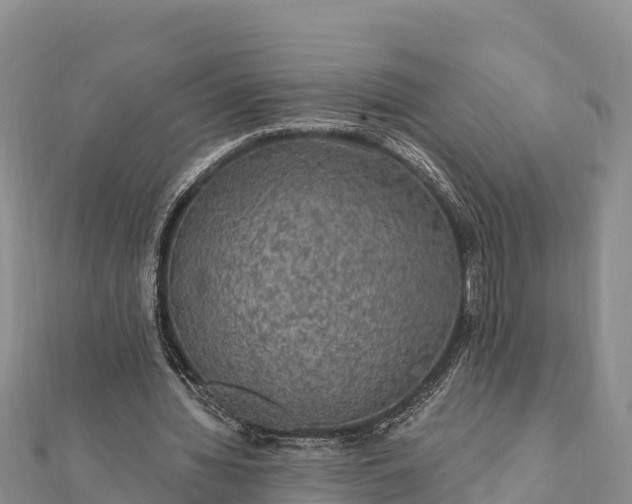 X0000112100436200908181329