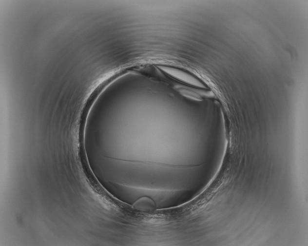 X0000112100438200908181329