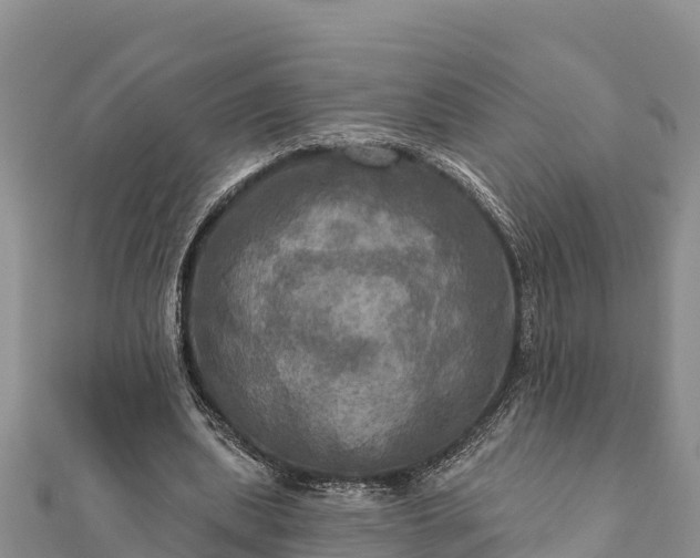 X0000112100439200908181329