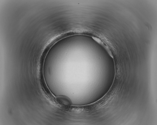 X0000112100440200908181329