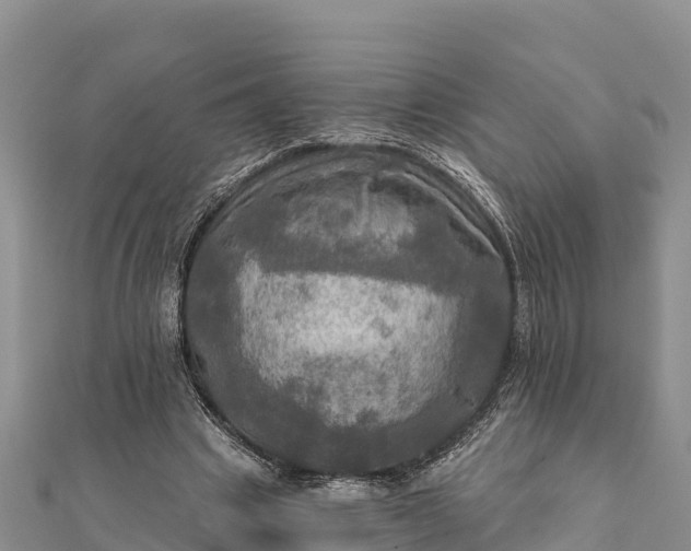 X0000112100441200908181329