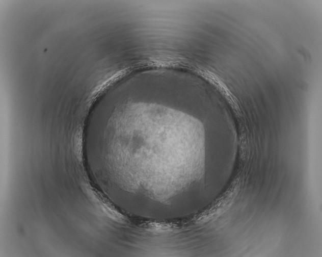 X0000112100442200908181329