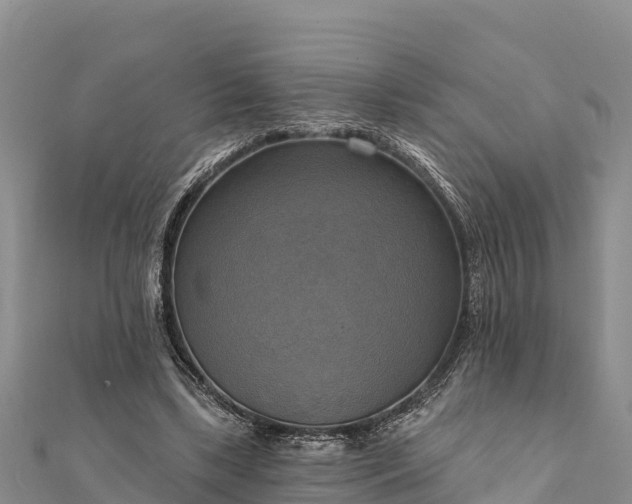 X0000112100443200908181329