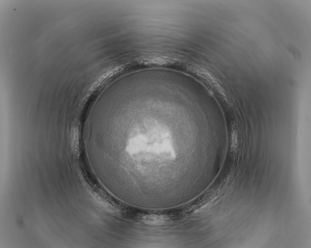 X0000112100444200908181329