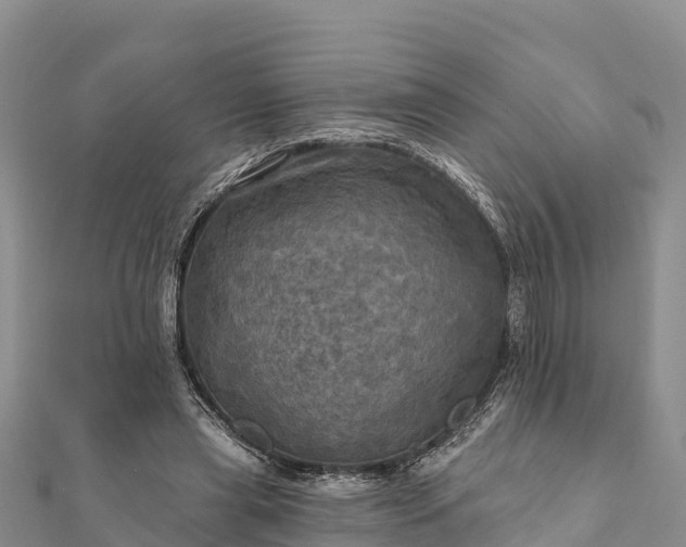 X0000112100445200908181329