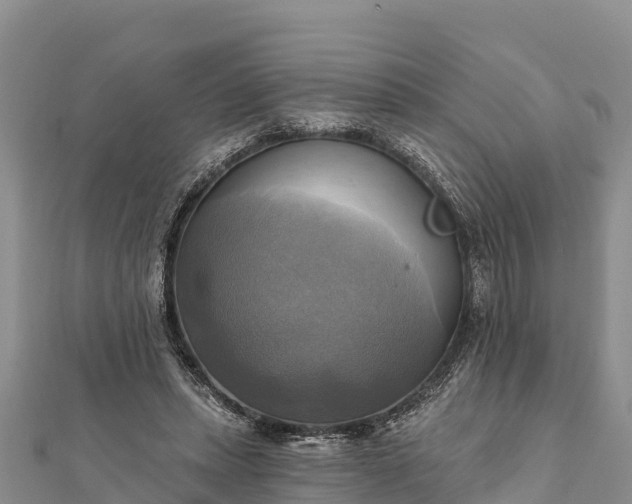 X0000112100447200908181329