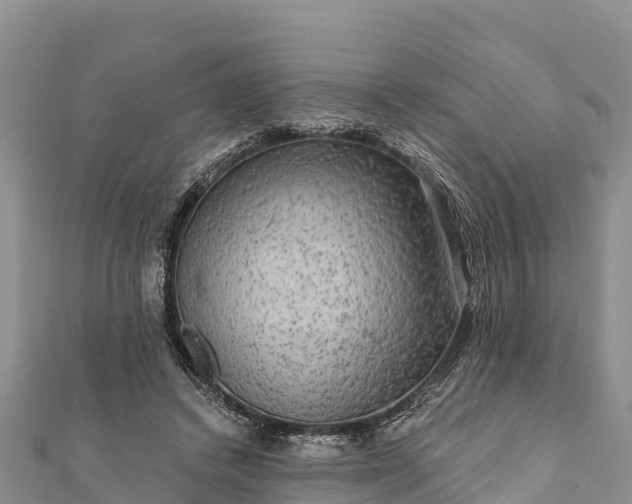 X0000112100448200908181329