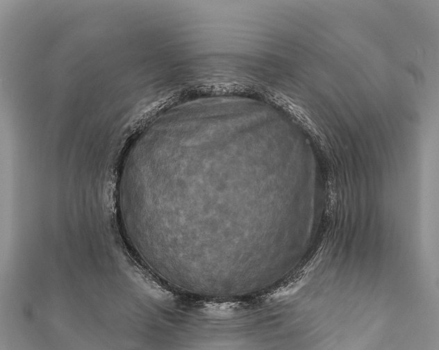 X0000112100450200908181329