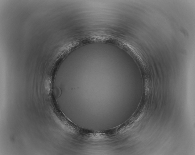 X0000112100451200908181329