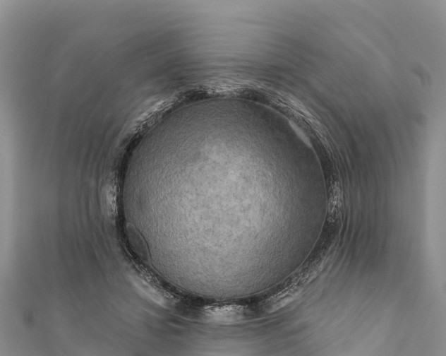 X0000112100452200908181329