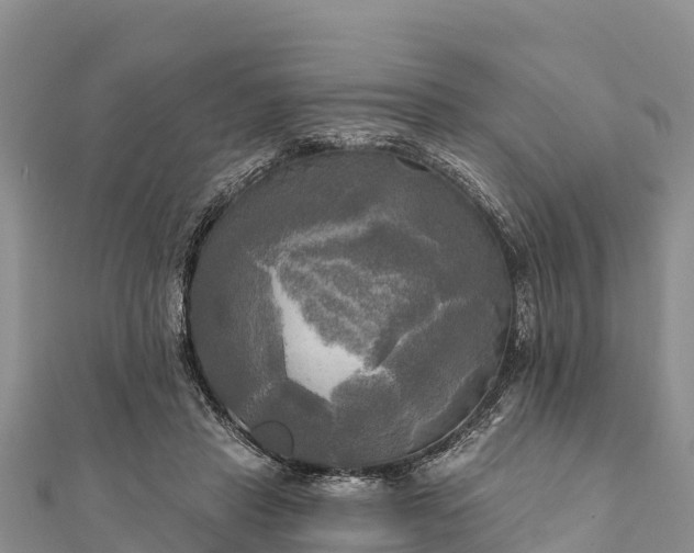 X0000112100453200908181329