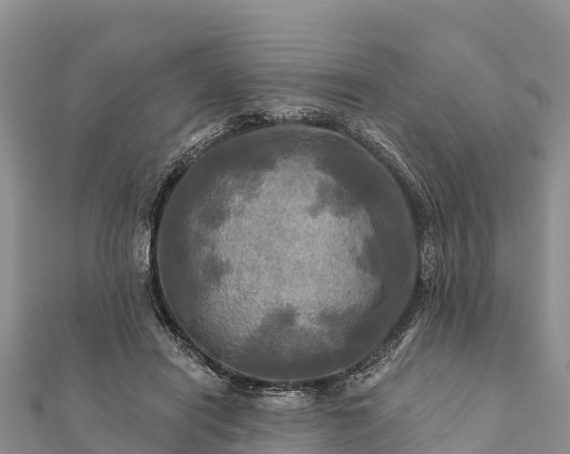 X0000112100454200908181329