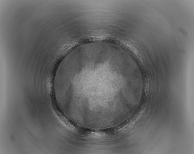 X0000112100455200908181329