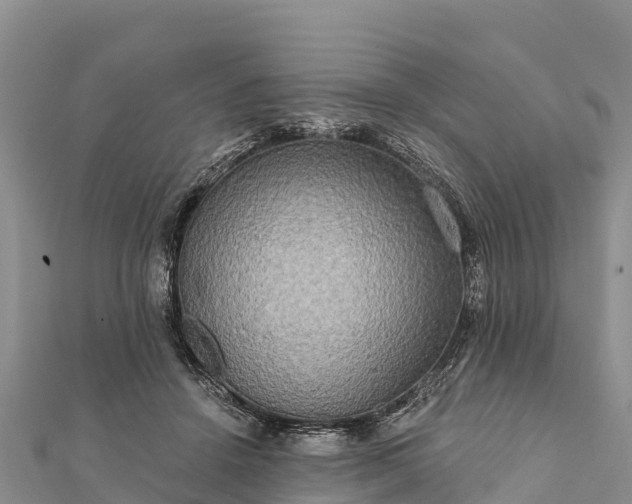 X0000112100456200908181329