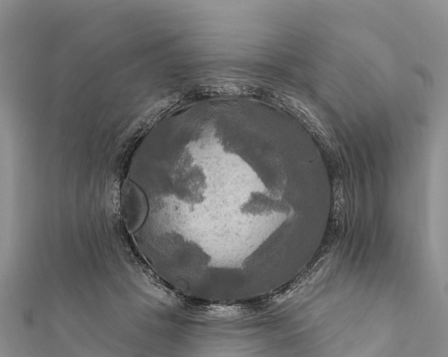 X0000112100457200908181329