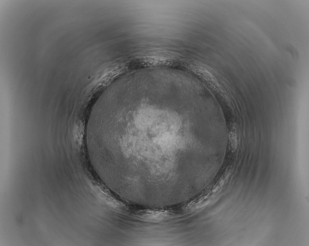 X0000112100458200908181329