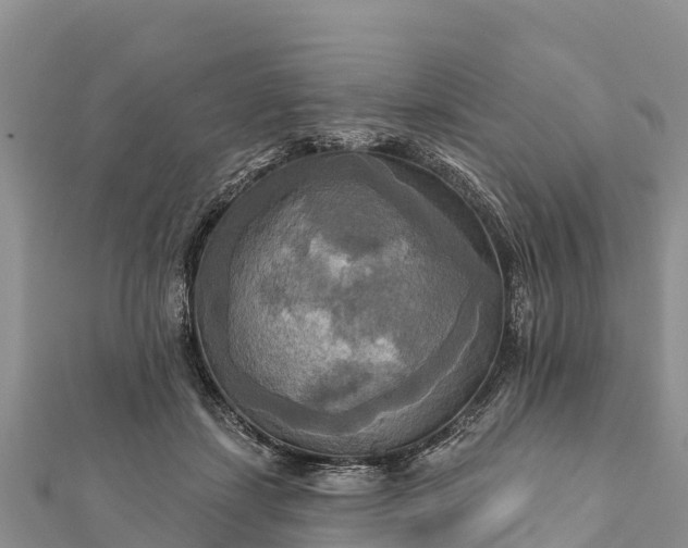 X0000112100459200908181329