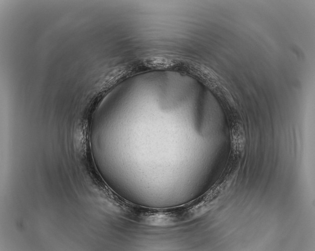 X0000112100460200908181329