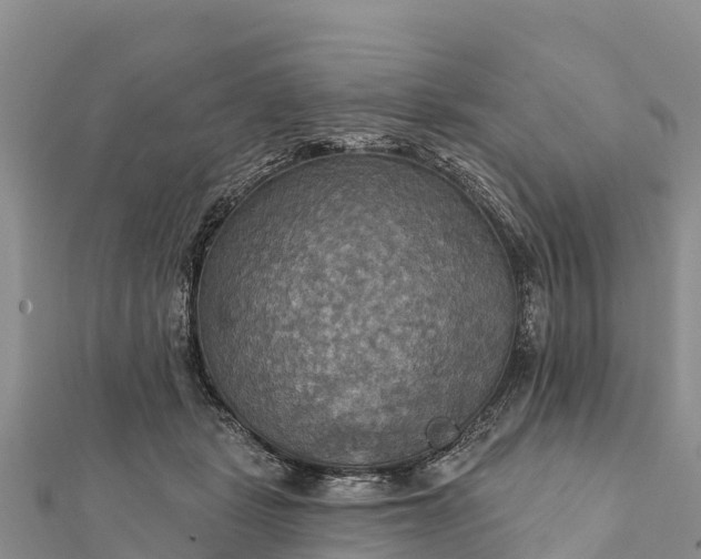 X0000112100461200908181329