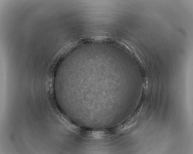 X0000112100462200908181329