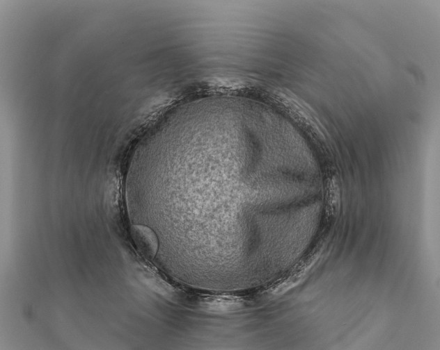 X0000112100463200908181329