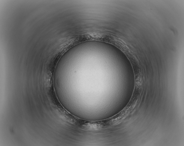 X0000112100464200908181329