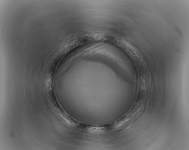 X0000112100465200908181329