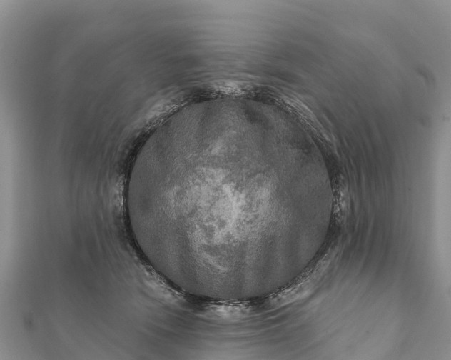 X0000112100466200908181329