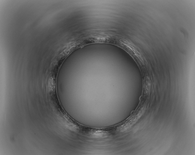 X0000112100467200908181329