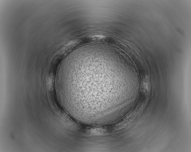 X0000112100468200908181329