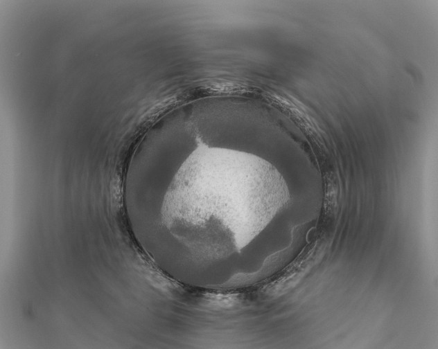 X0000112100469200908181329