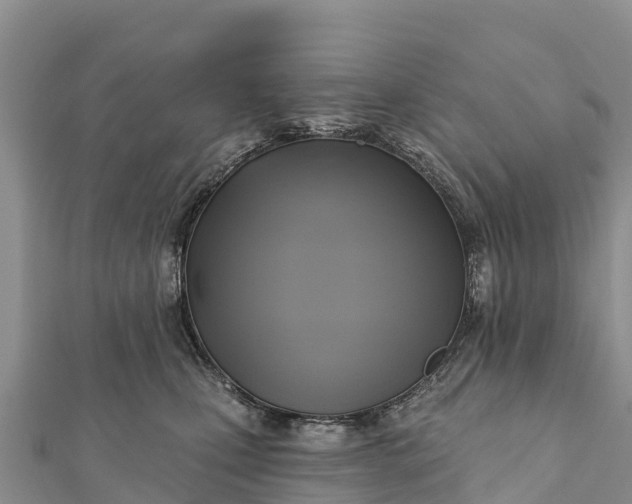 X0000112100471200908181329