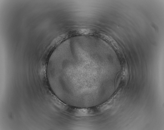 X0000112100473200908181329