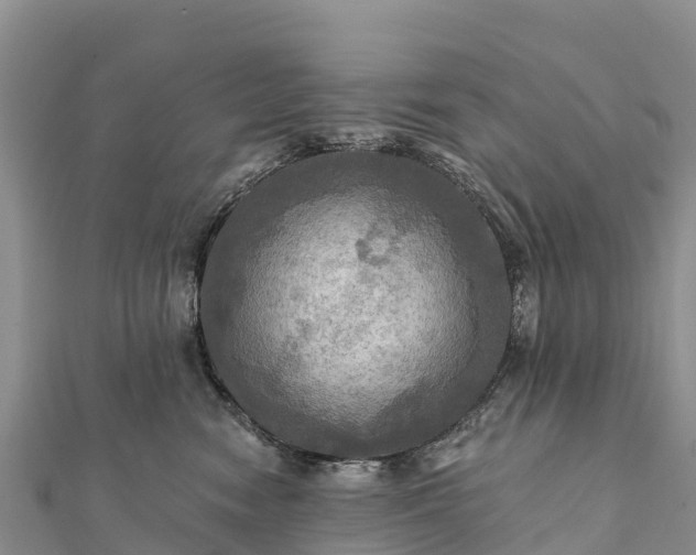 X0000112100474200908181329