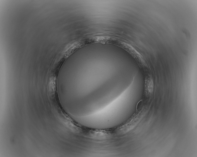 X0000112100475200908181329